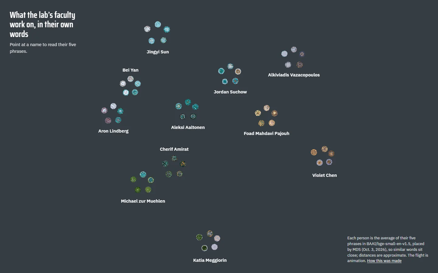 Sample BI2-person on a laptop, moment 3: eleven constellations of five stars, each with one name